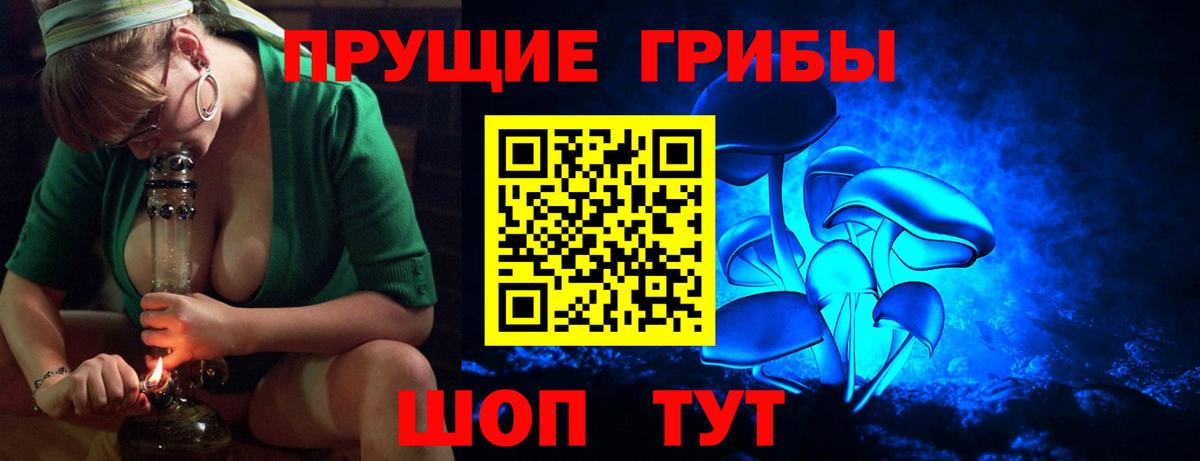 Галлюциногенные грибы Cubensis Курчатов